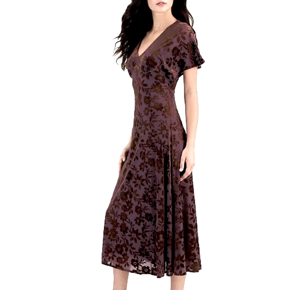 NWT Taylor Velvet Burnout V-neck A-line dress
